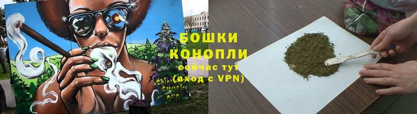 ПСИЛОЦИБИНОВЫЕ ГРИБЫ Беломорск