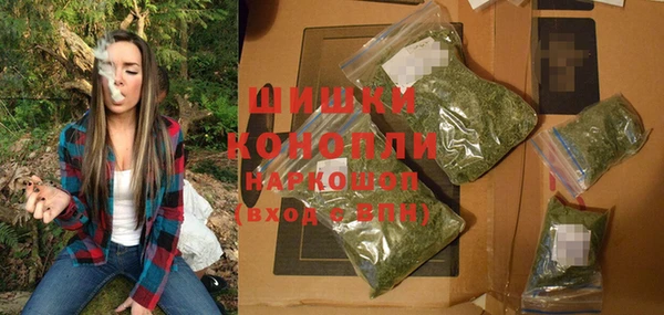 бошки Белокуриха