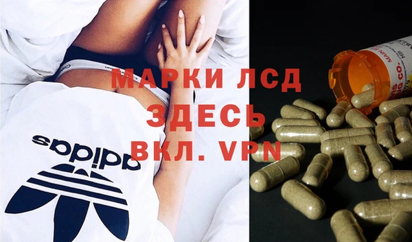 ПСИЛОЦИБИНОВЫЕ ГРИБЫ Беломорск