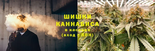 бошки Белокуриха