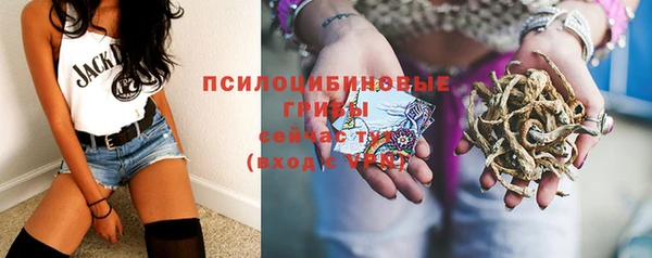 амф Белоозёрский