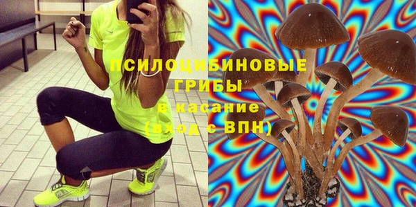 ПСИЛОЦИБИНОВЫЕ ГРИБЫ Беломорск