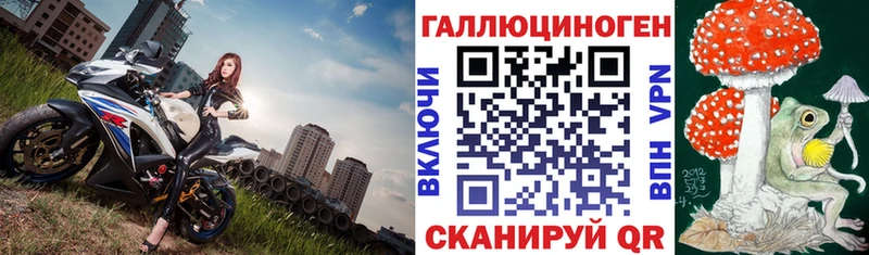 Купить где  Лиски  Галлюциногенные грибы MAGIC MUSHROOMS 